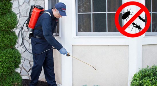 Niğde Bit İlaçlama böcek ilaçlama ve haşere kontrolü — ilaclama-tr.com